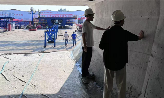 1729212953582182.png 7231d7669fbbdd81543aba594fad466.png